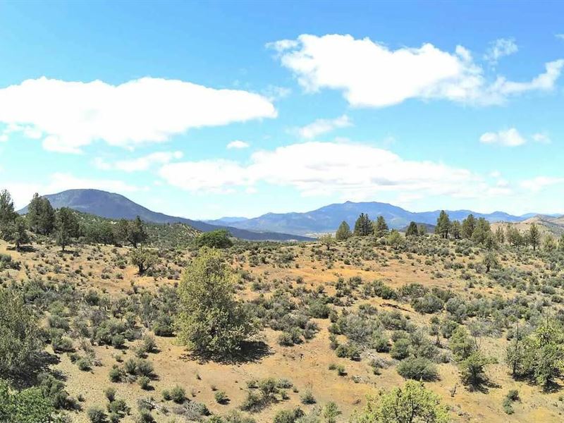 5.8 Acres for Sale in Montague, CA : Montague : Siskiyou County : California