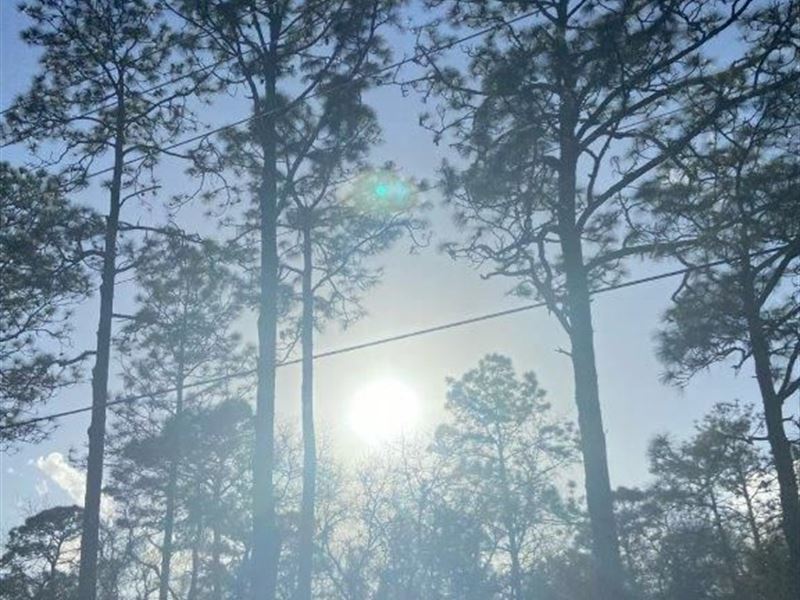 Escape The Hustle and Bustle : Dunnellon : Marion County : Florida