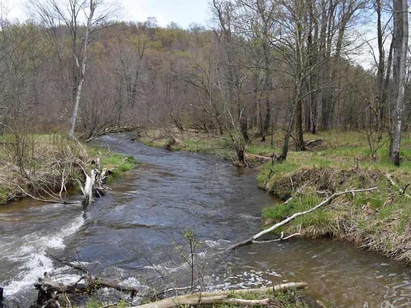 Salmon Creek : Marienville : Forest County : Pennsylvania