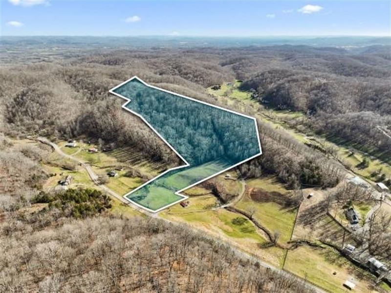 20 Acres Hilltop Homesite Nestled : Franklin : Williamson County : Tennessee