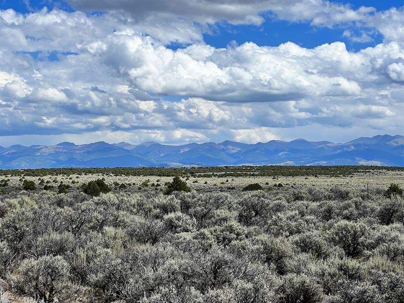 Beautiful Plot for Your Dream Cabin : San Luis : Costilla County : Colorado