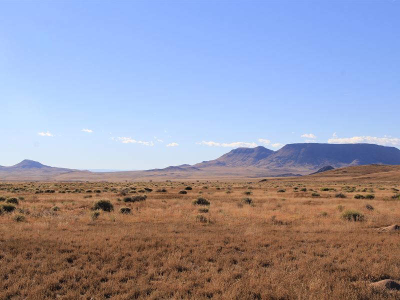Ultimate Outdoor Experience in Co : Blanca : Costilla County : Colorado