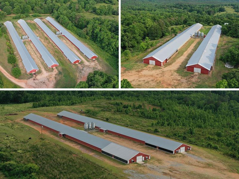 Summerlin Farm : Delta : Clay County : Alabama