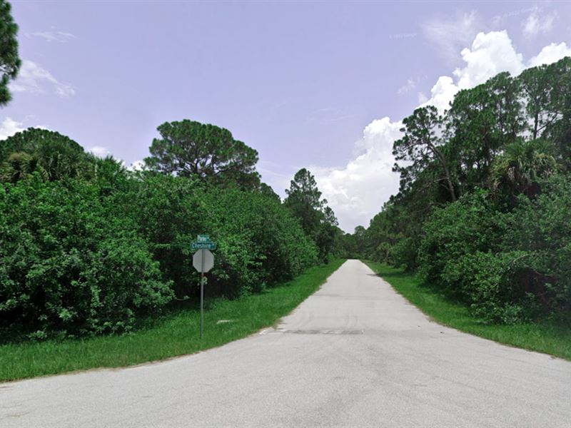 Perfect Residential Lot, Near Creek : Tampa : Charlotte County : Florida