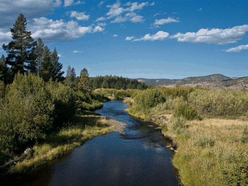 Cabin Land, Beautiful Country Views : Klamath Falls : Klamath County : Oregon