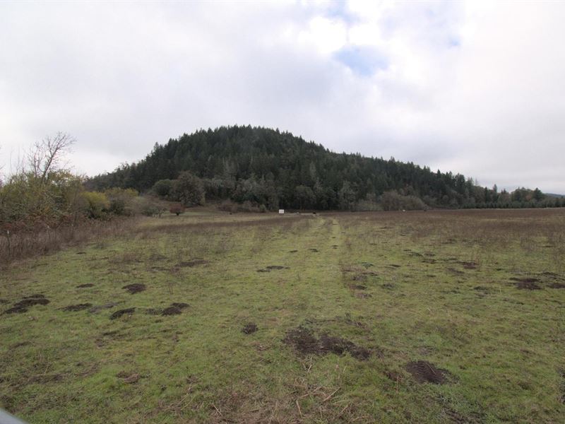 Riddle, Canyonville Bypass rd : Riddle : Douglas County : Oregon