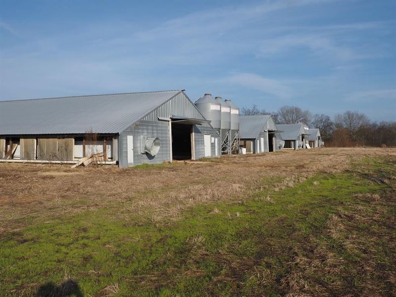 6-House Poultry Farm for Sale Leake : Carthage : Leake County : Mississippi
