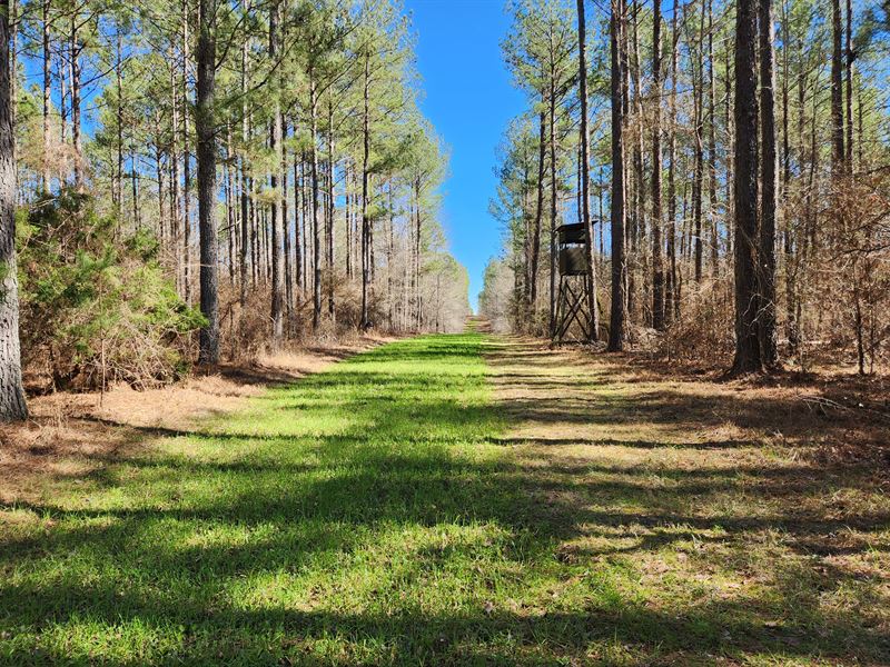 Hayes Farm 50 : Musella : Crawford County : Georgia