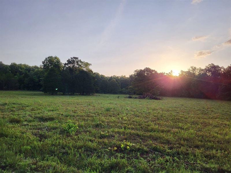 Land for Sale in The Ozarks : Mountain Grove : Wright County : Missouri