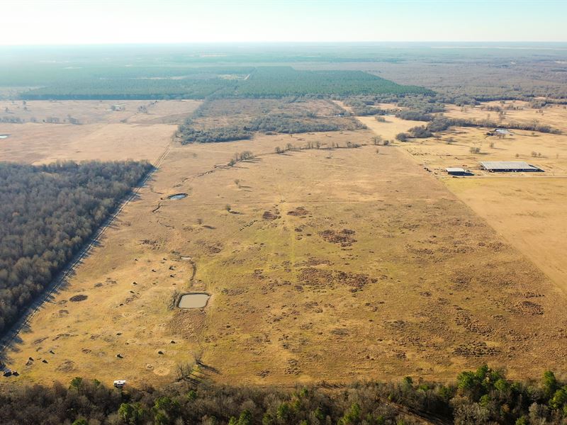 Large Acreage for Sale DE Kalb, TX : De Kalb : Red River County : Texas