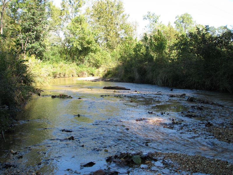Randons Creek 105 : Monroeville : Monroe County : Alabama