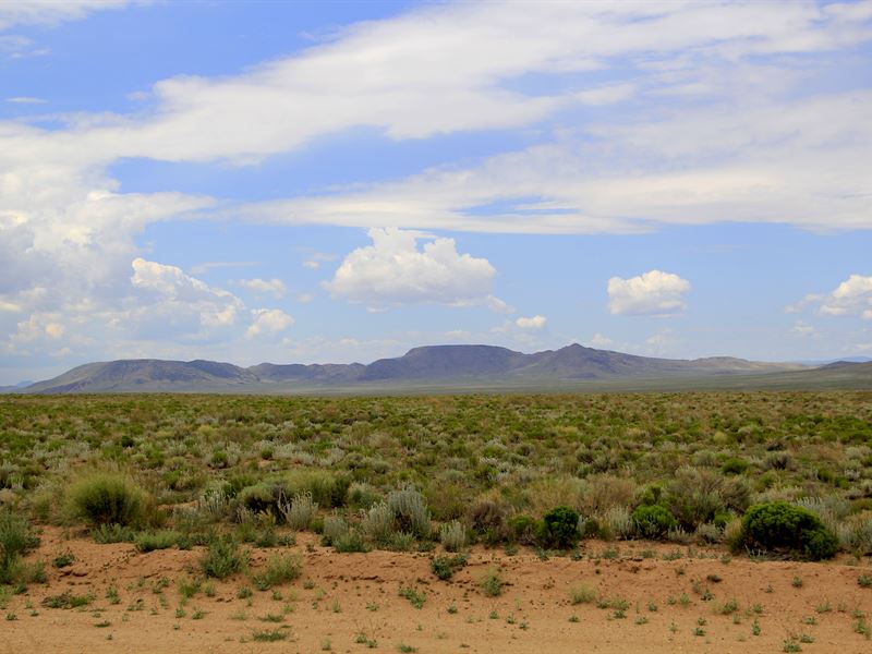 Invest, Retreat on Your 5+ Ac Lot : San Acacio : Costilla County : Colorado