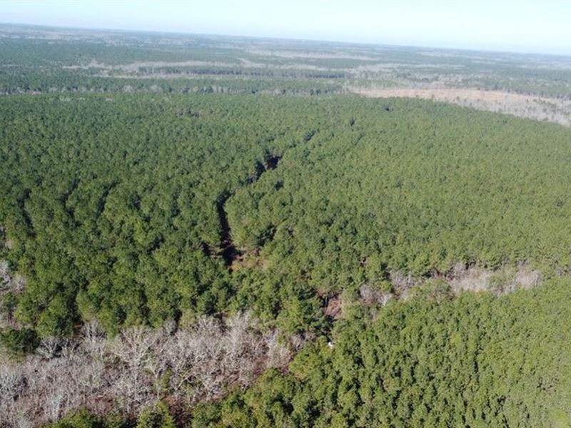 157.87 Acres in Oktibbeha County : Starkville : Oktibbeha County : Mississippi