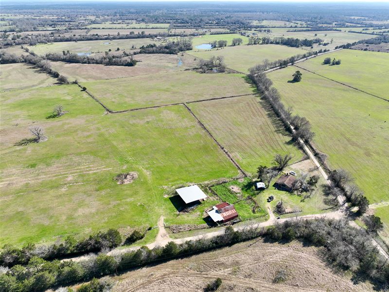 26 Acres, T-9 County Road 3625 : Lovelady : Houston County : Texas