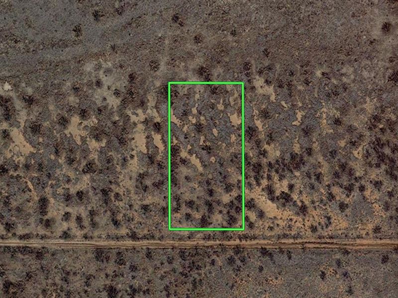 Tiny House Homestead in The Desert : Cochise : Cochise County : Arizona