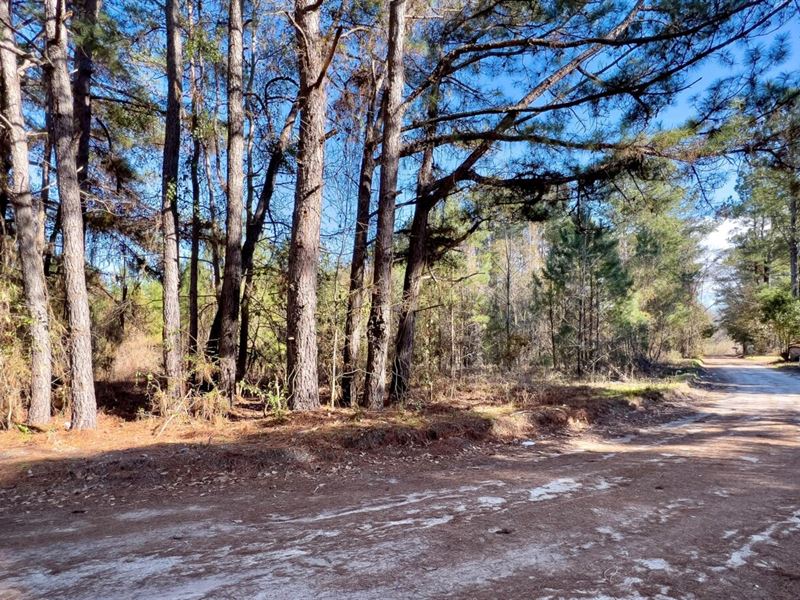 Mobile Friendly 1.0 Acre in SC : Manning : Clarendon County : South Carolina