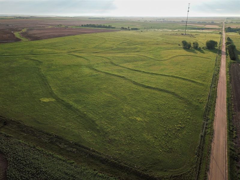Wilson Lake Upland & Build Site : Dorrance : Russell County : Kansas