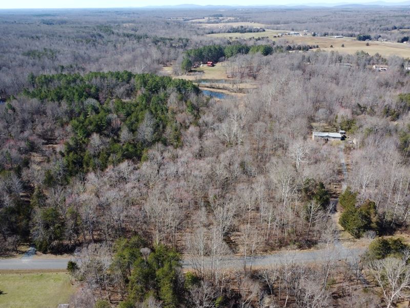 3.3 Ac for Sale, Orange County, VA : Unionville : Orange County : Virginia