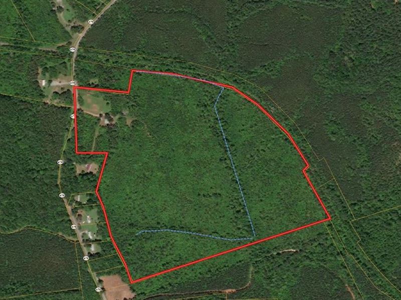 Beautiful Acreage : Meherrin : Lunenburg County : Virginia