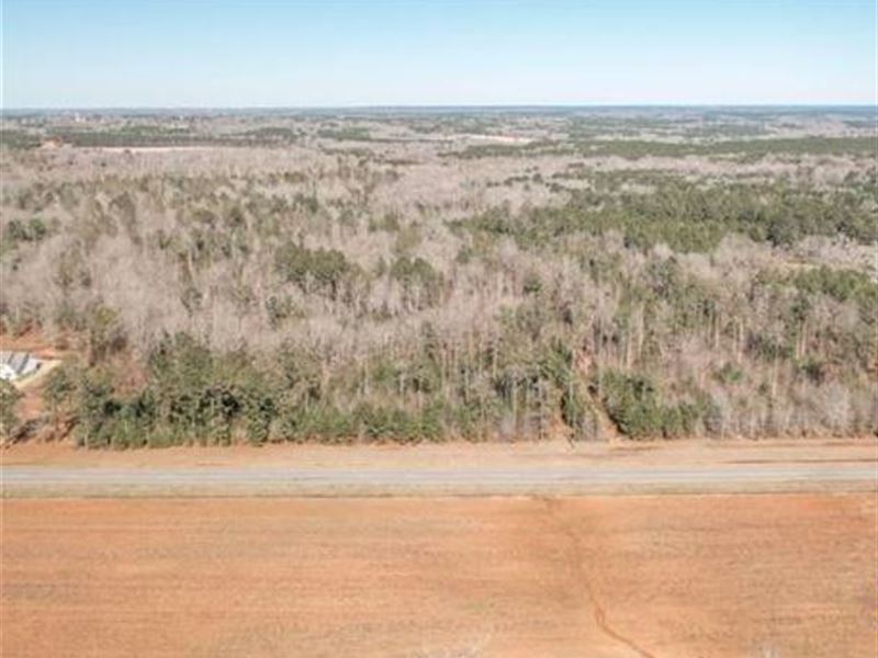 27.26 Acre Land Tract, Klondike Rd : Hawkinsville : Houston County : Georgia