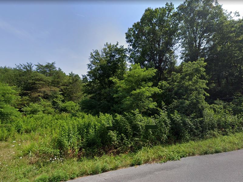 Unrestricted Land Near Pigeon Forge : Sevierville : Sevier County : Tennessee