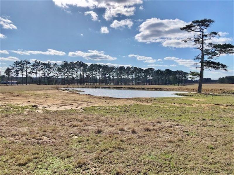 22.41 Pastured Acres with 3 Barns : Smithdale : Lincoln County : Mississippi