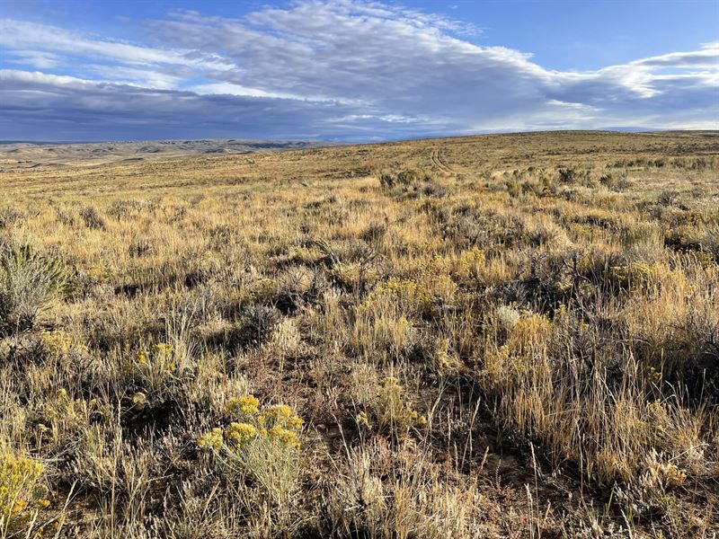 Lay Peak Ranch : Craig : Moffat County : Colorado