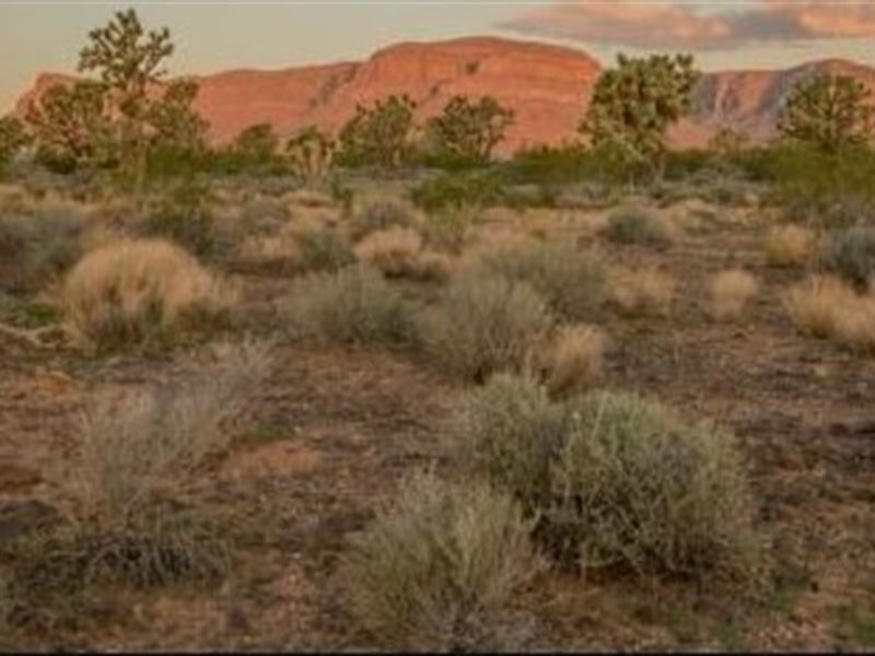 Little Paradise, 1.07 Ac in AZ : Dolan Springs : Mohave County : Arizona