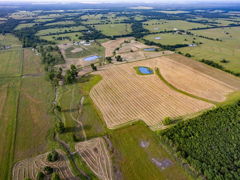 120 Acre Ranch, Lamar County, TX : Blossom : Lamar County : Texas