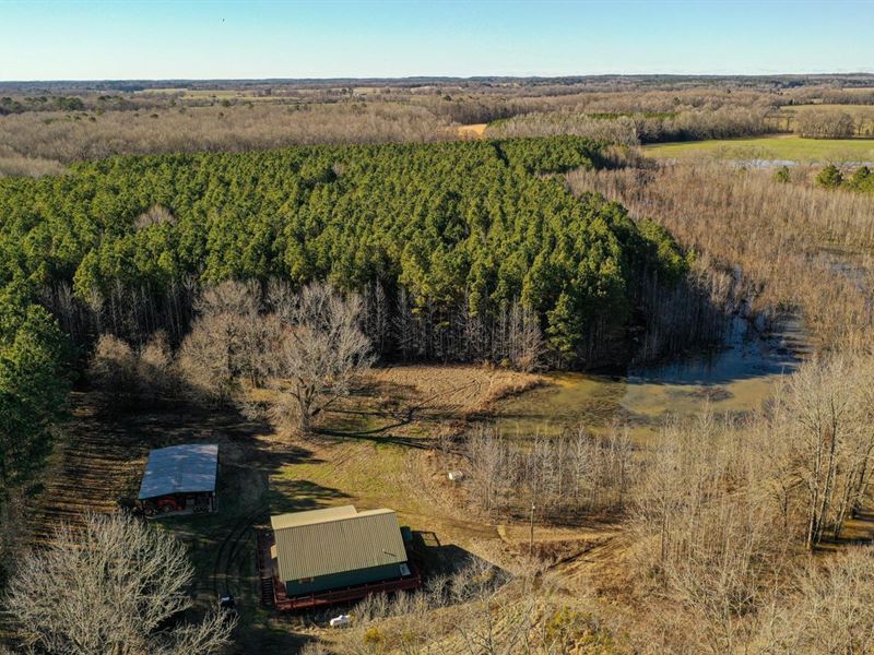 Sportsman's Paradise 240 Big Creek : Big Creek : Calhoun County : Mississippi