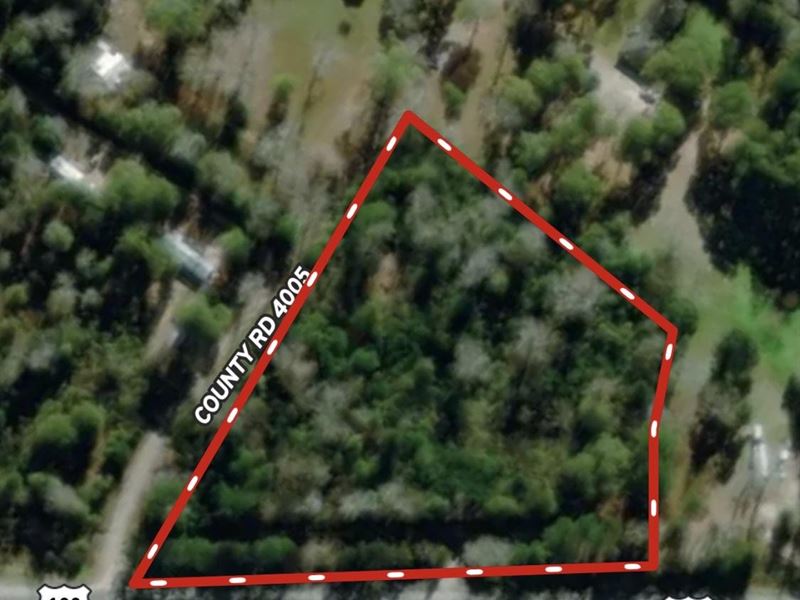 4 Acre Lot in Tyler County : Woodville : Tyler County : Texas