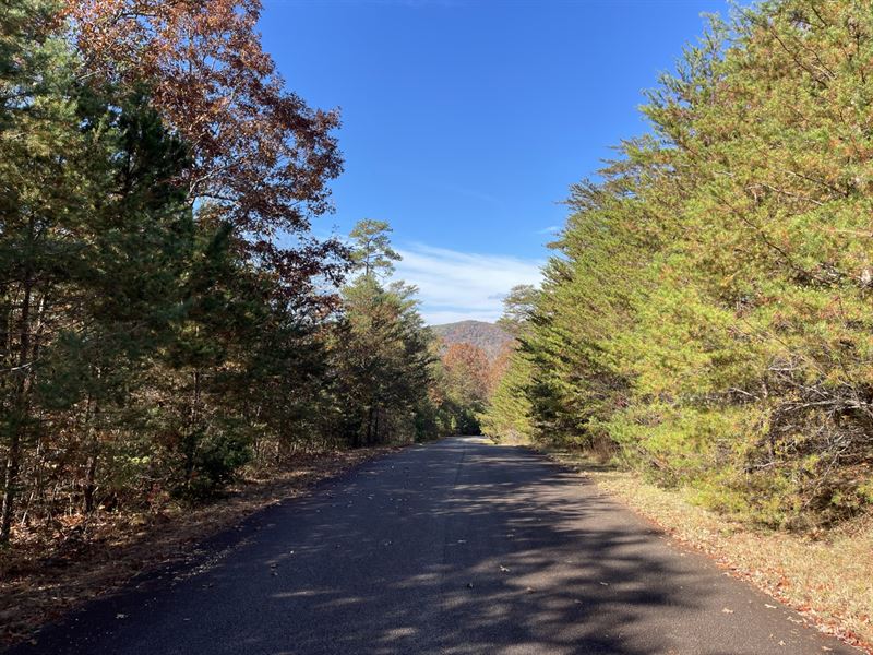 20 Acres, Stephens County, GA : Toccoa : Stephens County : Georgia