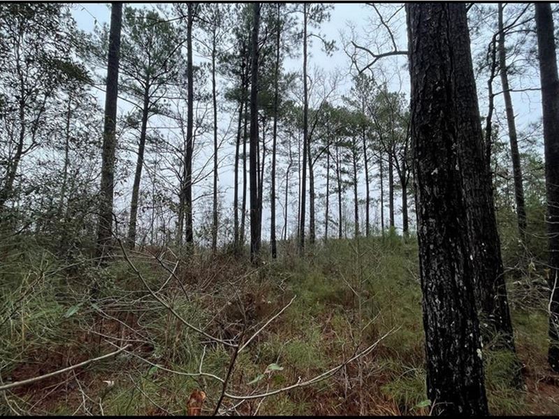 2.74 Acres in Lincoln County in Bro : Brookhaven : Lincoln County : Mississippi