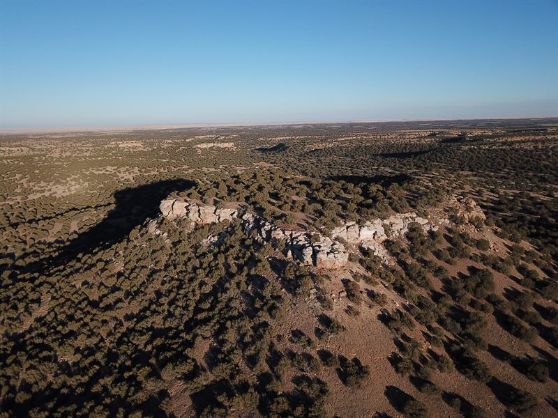 Colorado Hunting Ranch : Las Animas : Las Animas County : Colorado