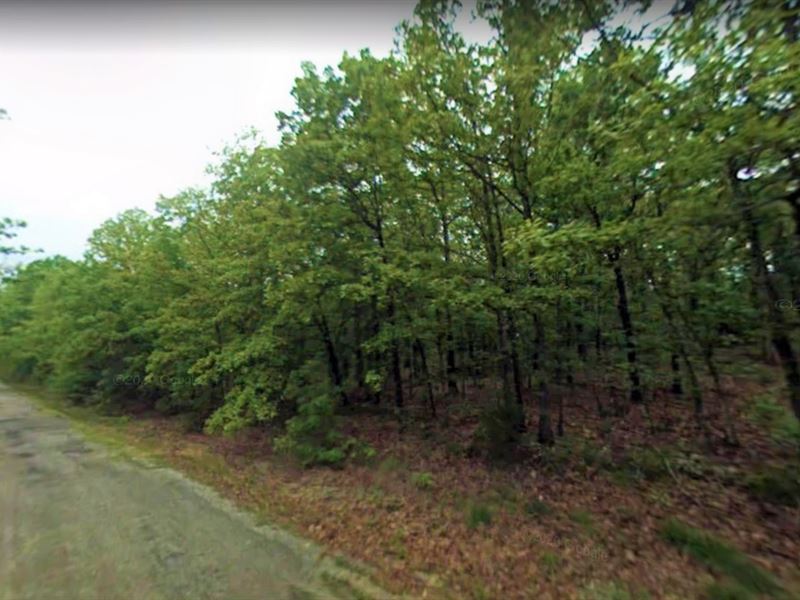 Peaceful Residential Neighborhood : Cherokee Village : Sharp County : Arkansas