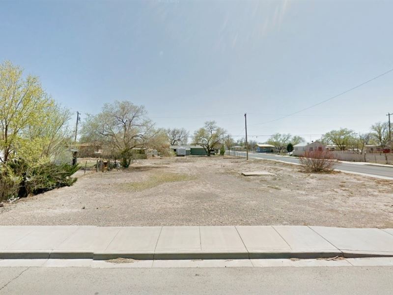 Sure To Catch Your Eye : Roswell : Chaves County : New Mexico