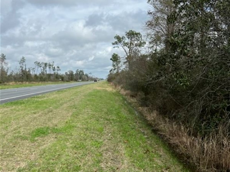 264 Acres Recreational Land : Panama City : Bay County : Florida