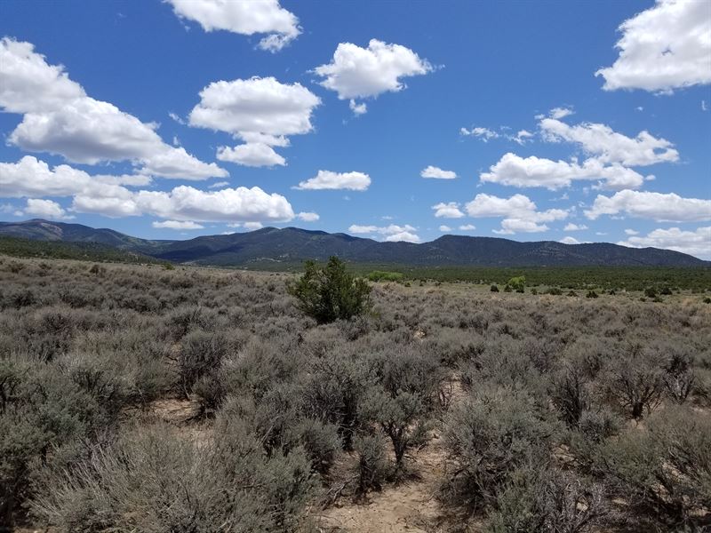 Mountain Getaway, Incredible Views : Fort Garland : Costilla County : Colorado