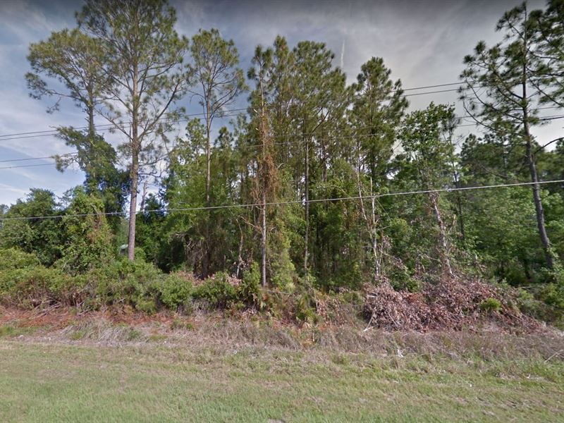 Stunning Days Ahead on 0.23 Acres : Fort Mc Coy : Marion County : Florida