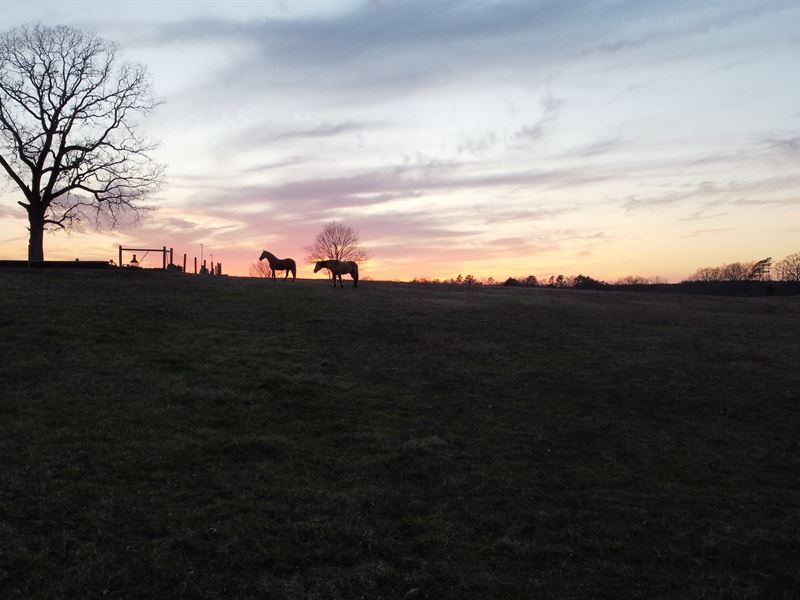 Beautiful Farm with Views and Pond : Ridgeway : Fairfield County : South Carolina