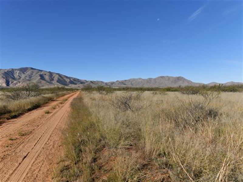 Peace in The Desert : Cochise : Cochise County : Arizona