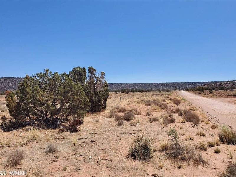 Experience The Beauty of 1.17 Acres : Snowflake : Navajo County : Arizona