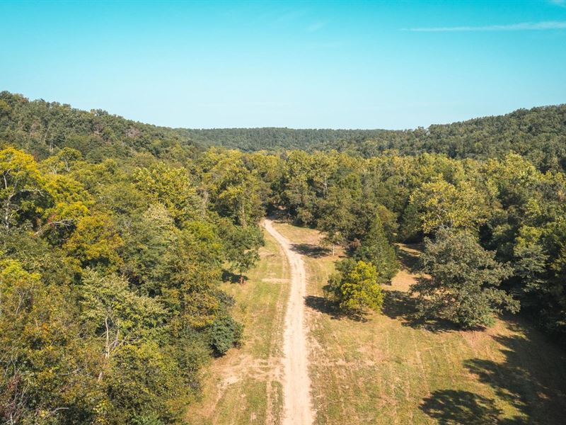 Paddy Creek Wilderness-Tract 2 : Roby : Texas County : Missouri