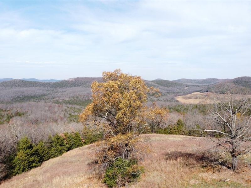 Boone County Arkansas 7 : Harrison : Arkansas County : Arkansas