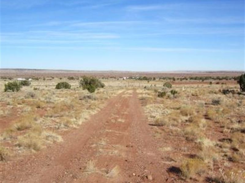 Resort To Happiness On 2.14 Ac, AZ : Dolan Springs : Mohave County : Arizona