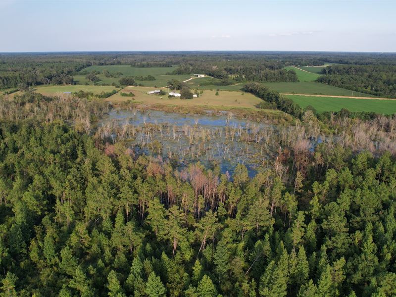 80 Acre Prime Hunting & Recreation : Cottondale : Jackson County : Florida