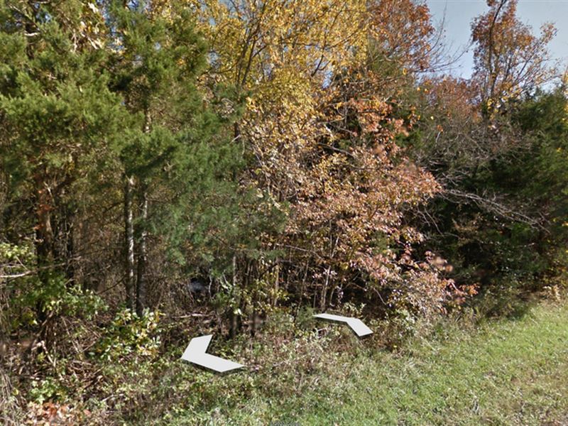 Prepare To Be Stunned Nature Lovers : Horseshoe Bend : Izard County : Arkansas