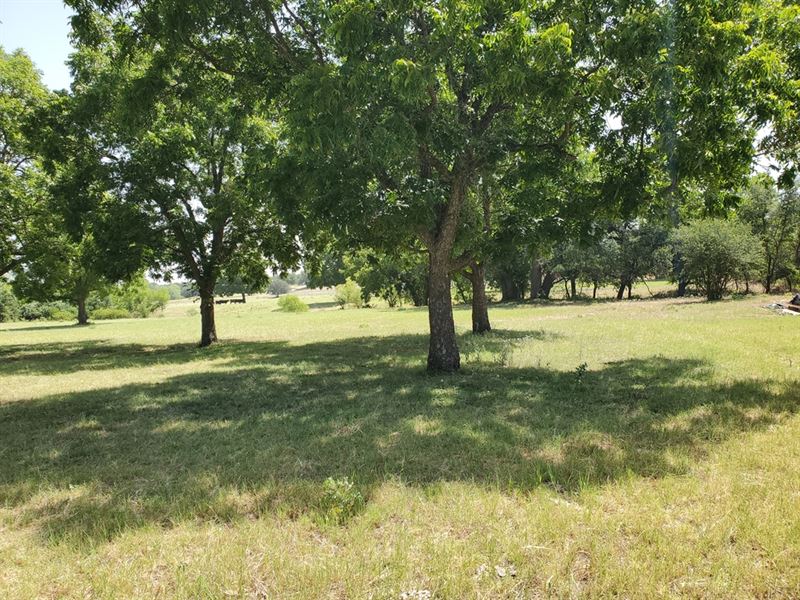 Scenic 79.78 Acre Cattle Ranch : Weatherford : Parker County : Texas