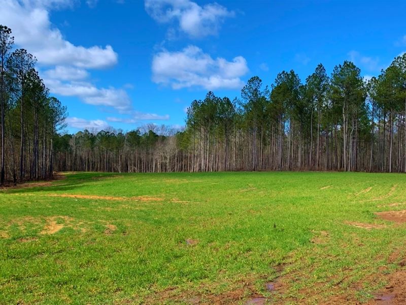 Prime Hunting Retreat : Greensboro : Greene County : Georgia