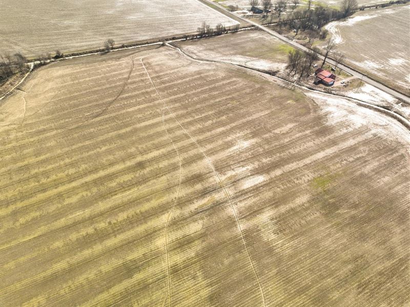 MS Highway 3 60-Acre Farm : Lambert : Quitman County : Mississippi